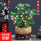 Bodhi Tree Potted Small Pan Bodhi Bonsai with Fruit Chinese Zen Desktop Decoration Indoor Creative Good Green Plant A Grade Multi-Fruit - Xiao Pan Bodhi (Lotus Purple Clay Pot + Bottom Support + Moss)