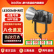 Godox new product fill light LE300Bi dual color temperature photography always on light live broadcast fill light video live fill light live portrait photo beauty soft light film and television light
