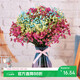 AIMAN Gypsophila Natural Dried Flower Bouquet Ins Internet Celebrity Birthday New House Decorative Ornaments Air-Dried Real Flower Arrangement Home Furnishings Sky Blue Gypsophila + Red Crystal + Citrine Without Vase