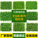 Doutu Gardening green plant wall simulated plant turf wall decoration indoor background flower wall green wall hanging plastic fake lawn door head super dense Milan grass