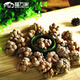 Wenshan Fu Wanjia Yunnan Wenshan Fu Wanjia Panax NotoginSeng (FWJ) 20-Kopf-Top-Qualität-Panax NotoginSeng 500G Standard 20-teiliger Jin [Jin entspricht 0,5 kg]