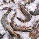 Fresh Jingcai 2025 Fujian Live Frozen Black Tiger Shrimp Net Weight 3Jin Jin is equal to 0.5kg 2030Specifications 30-45 pieces/box Extra Large