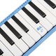 
Guoguang 37-key teaching recommended classroom designated organ blue (canvas soft packaging/playing instructions)