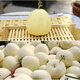 Zhongke Maohua Vegetable and Fruit Seeds Hybrid First-generation Xiangmanyuan White Belt Yellow Melon Seeds Thin-skinned and thick-flesh super sweet and fragrant melon seeds Base greenhouse cultivation Xiangmanyuan 100 capsules/bag Great value for multiple purchases