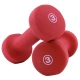 PROIRON environmental protection plastic dipped frosted dumbbell color ladies dumbbell fitness home dumbbell 3 lbs