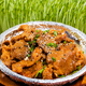 Shuanghui Pig and Plum Blossom 500g Pig and Plum Pig and Plum Strips Pork jerky pork jerky pork floss ingredients Hotpot ingredients Steamed pork ingredients Domestic pork fresh