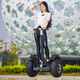 Demarui M12 Voyage électrique Somatosensoriel Intelligent pliant hors route Contrôle des jambes Balance vélo adulte voiture parallèle avec main courante à longue portée noire de 80 kilomètres