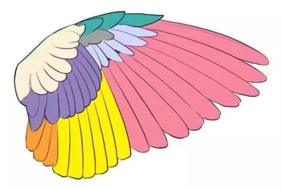 如何画出翅膀（怎么用圆圈画翅膀)