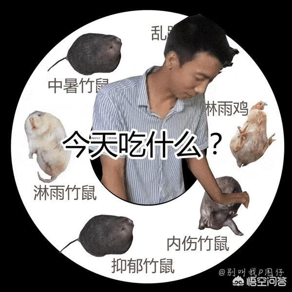 觉醒教派声望怎么冲