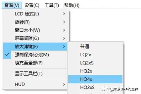 nds模拟器怎么放大