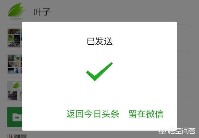 怎么样下载视频