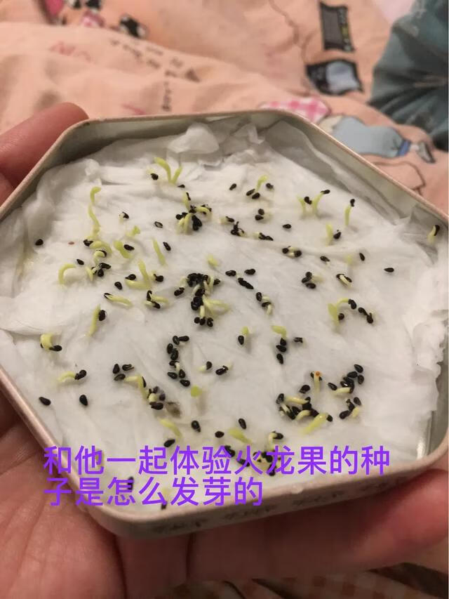 孩子沉迷游戏怎么办