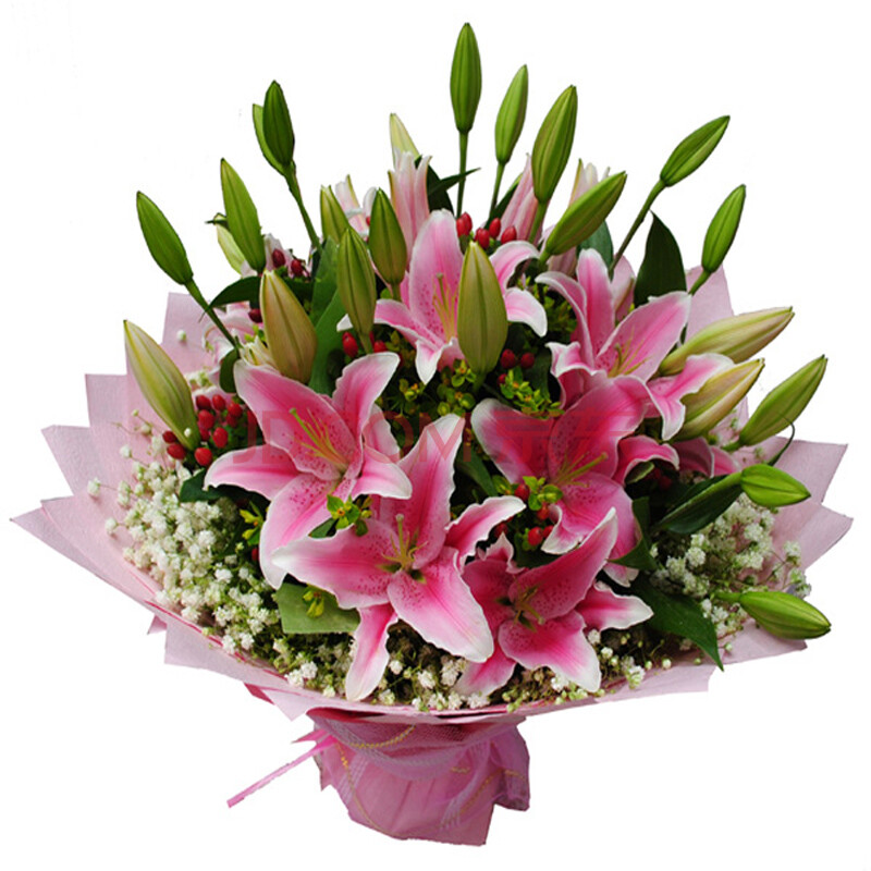 乐舞鲜花速递 10枝粉色香水百合花束 生日礼品 爱情祝福鲜花 平时价