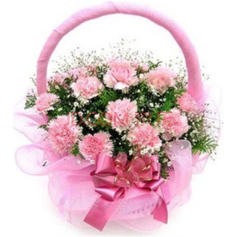 教师节鲜花速递 母亲节 30支粉色康乃馨 健康幸福