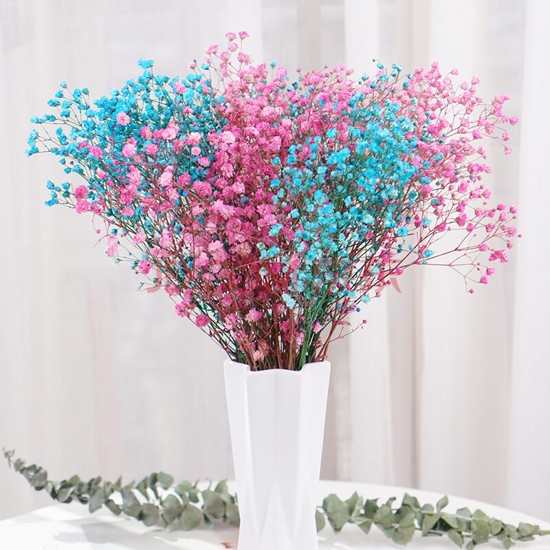 满天星干花花束带花瓶客厅卧室家居干花装饰摆件 染色粉满 染色蓝满