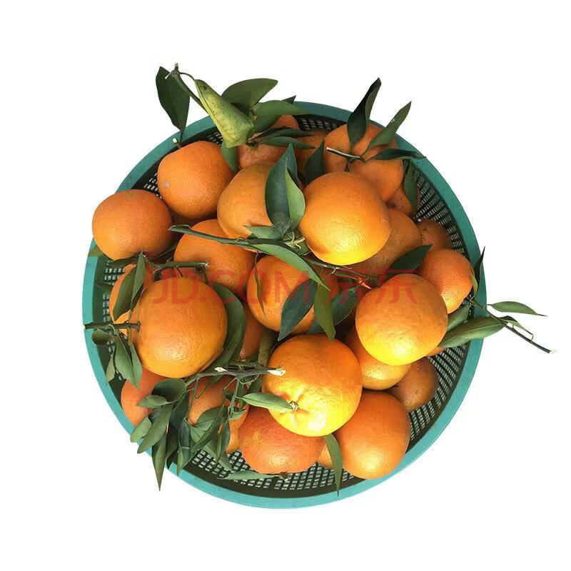 潮州蕉柑的做法(潮州柑饼的制作方法)