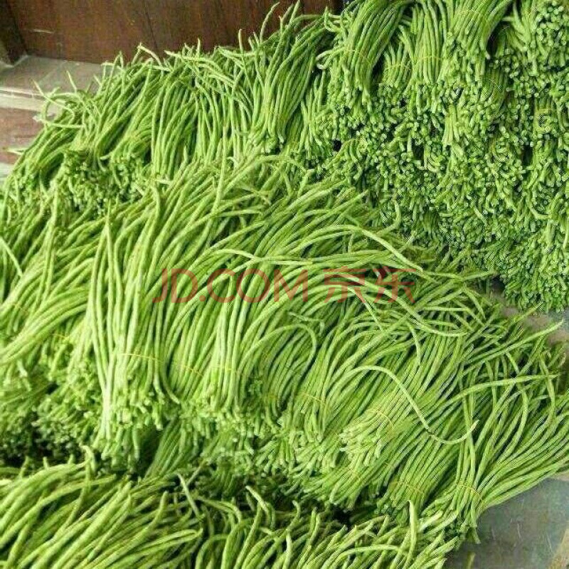 【京东包邮发货】春秋庭院易种蔬菜豇豆干枝梅特长豆角种子中早熟长达
