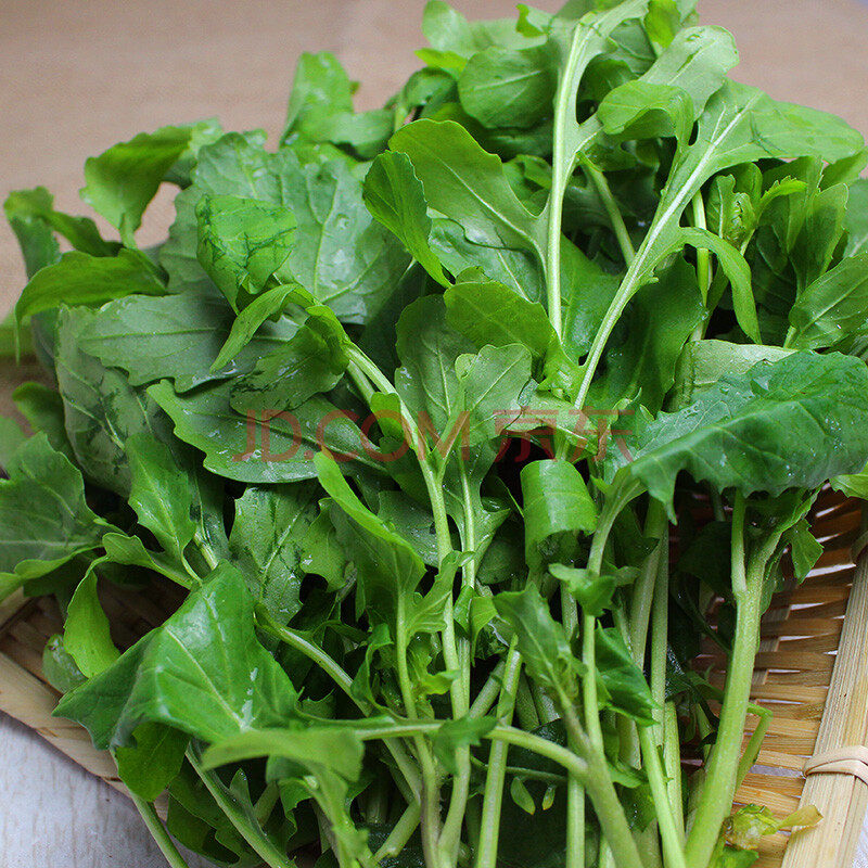 蔬菜 叶菜类 吴太婆 臭菜 东北 新鲜500g 农家自种 新鲜蔬菜 蘸酱菜