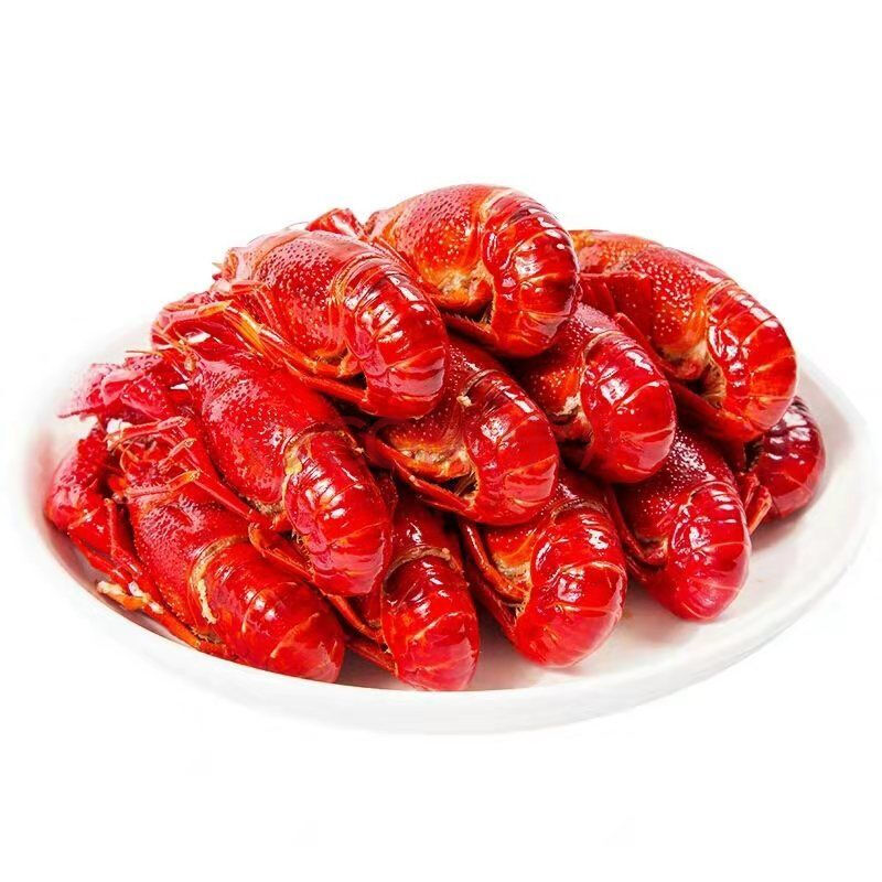 生鲜活体小龙虾清水大龙虾河虾 【清水小龙虾】2斤鲜活