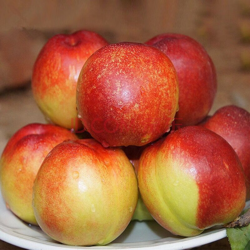 果粒果粒 油桃脆甜桃子新鲜孕妇水果当季白肉 黄肉 3斤装