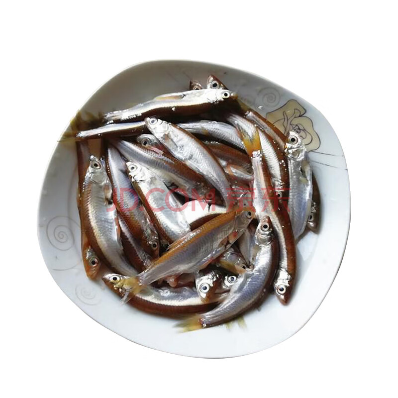 姚鮮品旗艦店 淡水魚現殺生態刁子魚500g小白條小白魚新鮮小魚小餐條