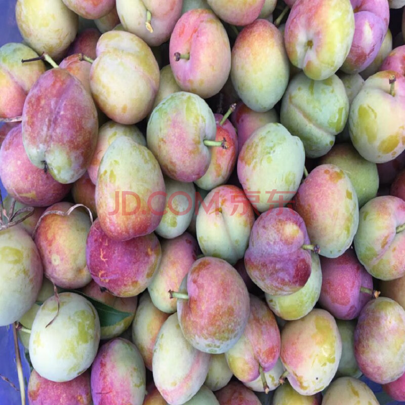 【广西】【百色市】【凌云县】扶贫产品牛心李2500g净果标准纸箱装