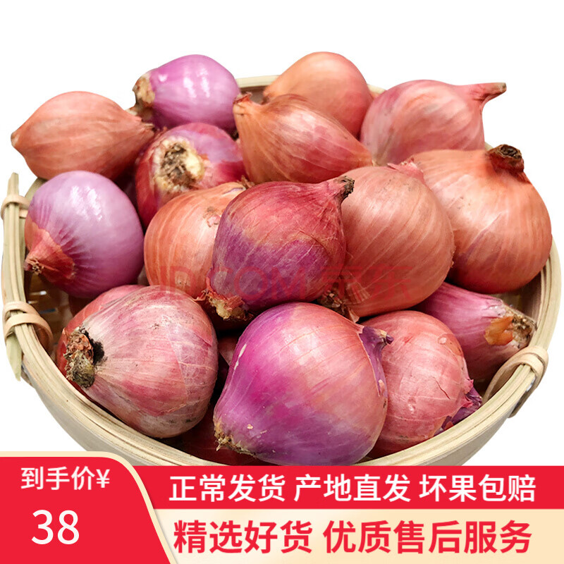 正宗东北圆葱 农家红葱头 2.5kg