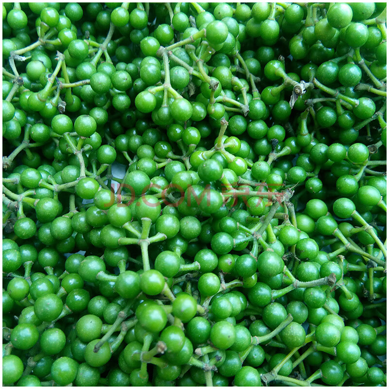 四川现摘 山胡椒 新鲜木姜子 新鲜重庆山苍子木浆子 1000g