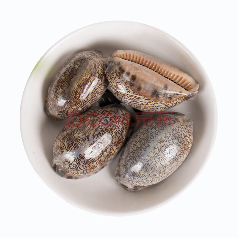 德回堂 中药材店铺 紫贝齿 紫贝 文贝 紫贝子 南蛇牙齿 螺 500克
