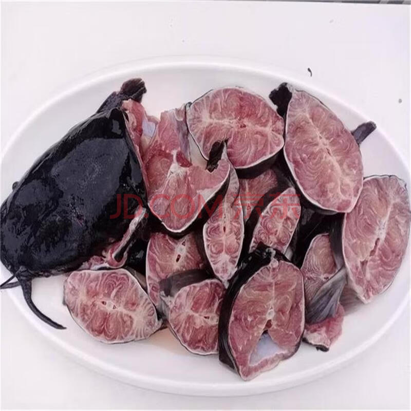鲶鱼活体食用淡水鱼大口胡子鲶特色铁锅炖鲶鱼鲜活现杀1000g冷运 整鱼