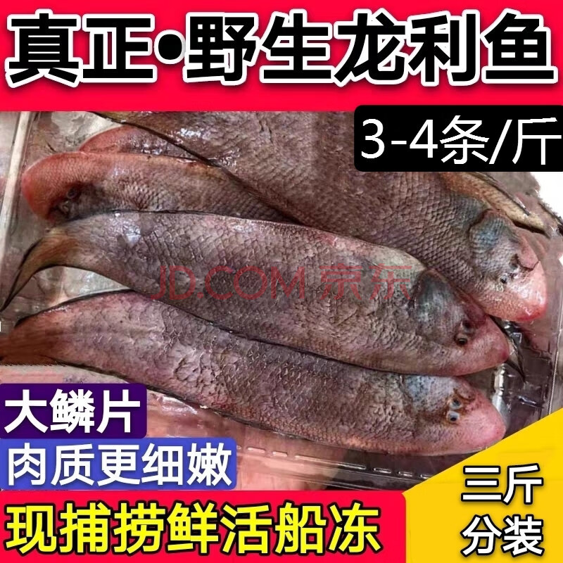 鱼鲜活速冻舌头鱼踏板鱼鳎米鱼牛舌头鱼舌鳎鱼深海鱼生鲜【图片 价格