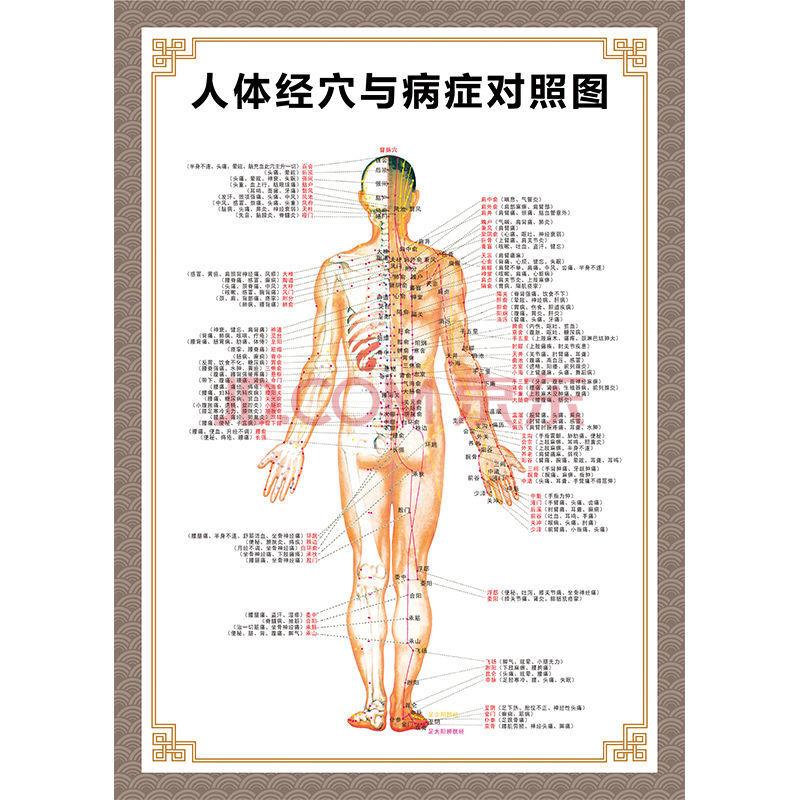 人體穴位圖 全身圖 中醫針灸艾灸拔罐養生十二經絡穴位海報大掛圖