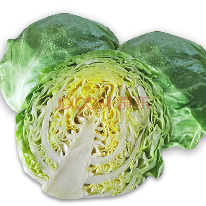 新鲜莲花白圆白菜 绿甘蓝小包菜卷心菜泡菜新鲜农家蔬菜京东生鲜团建