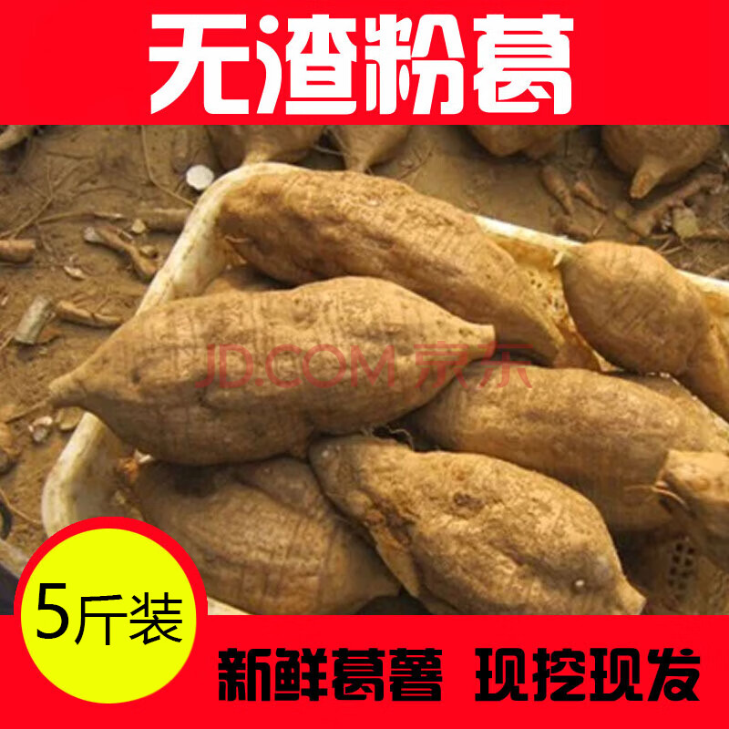 新鲜粉葛生葛 粉葛薯非野生煲汤甘甜无渣5斤装 5斤装