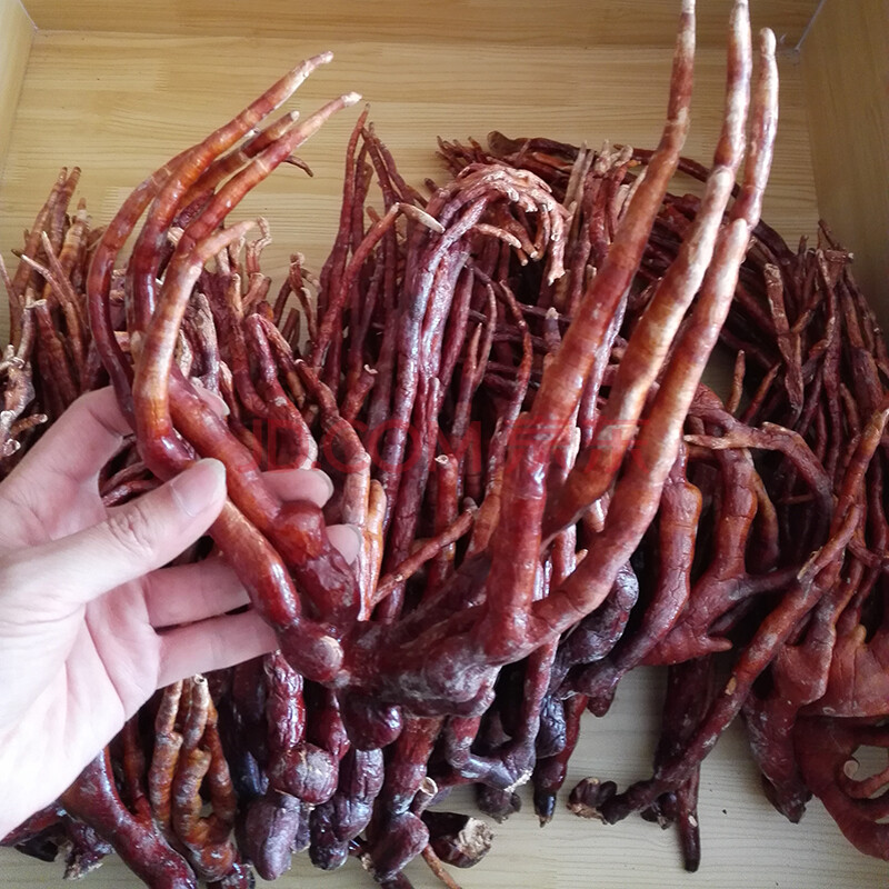 长白山灵芝草 鹿角灵芝 整枝灵芝 泡酒料 100g