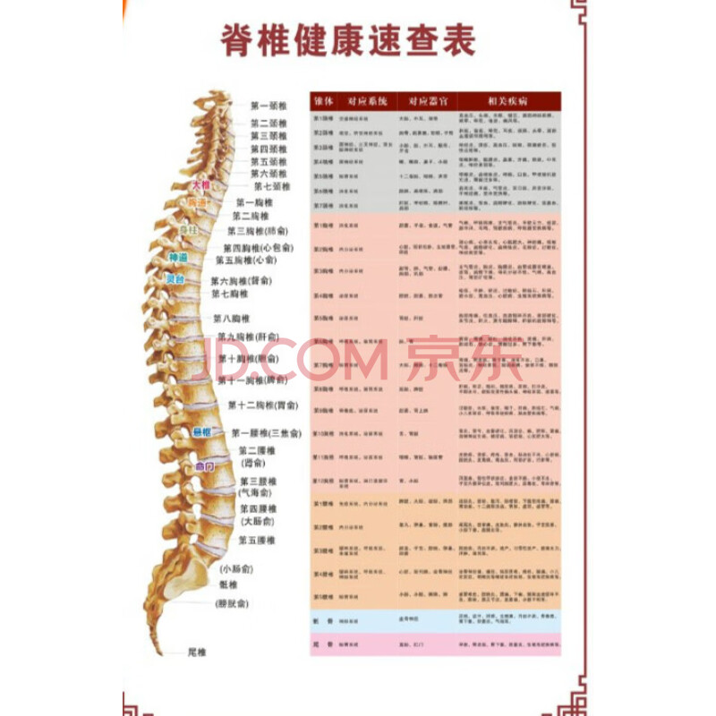 人体骨骼图挂图器官内脏结构图海报脊柱图解肌肉分布解剖图挂画(注意