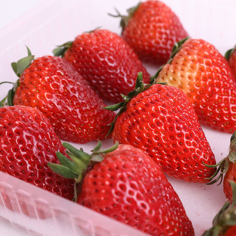 久香草莓 当季水果双流牛奶草莓蛋糕房装饰专用3斤装 送女朋友 生鲜 2