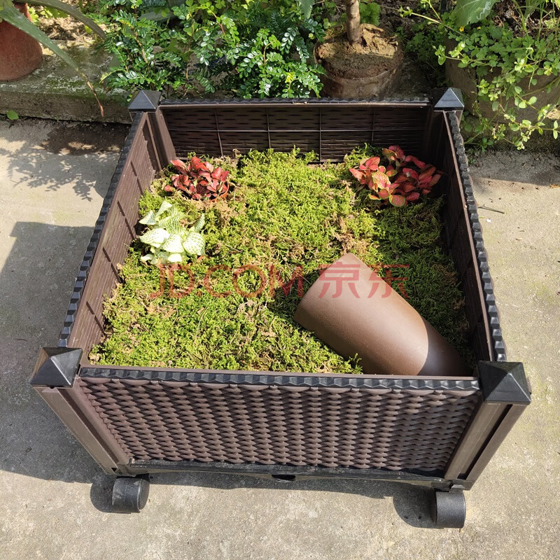 黄缘龟舍生态饲养箱安缘安布水陆半水爬宠玻璃龟盒套餐造景 单连套餐