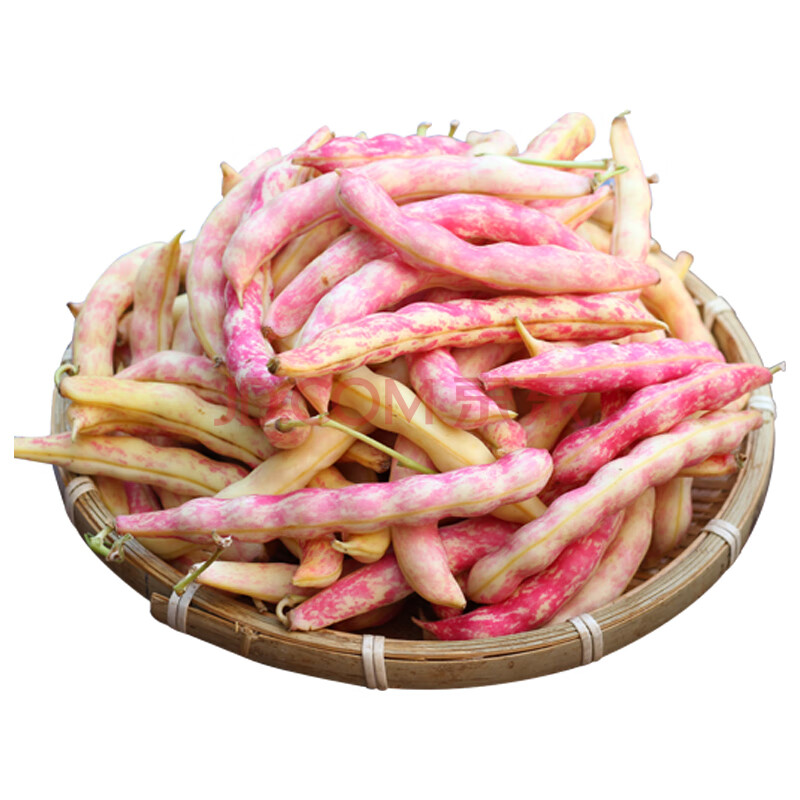 黄金沟豆角东北特产勾勾黄豆角新鲜芸豆角子黑龙蔬菜东北油豆角