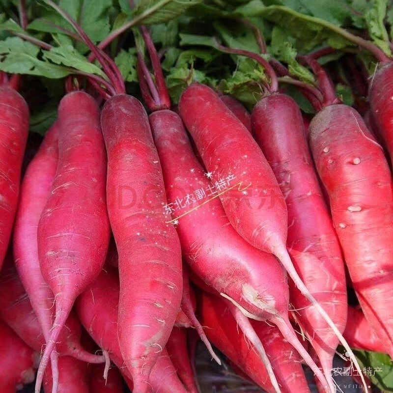 水萝卜新鲜蔬菜东北特产小萝卜农家肥红皮白心萝卜500g 5斤