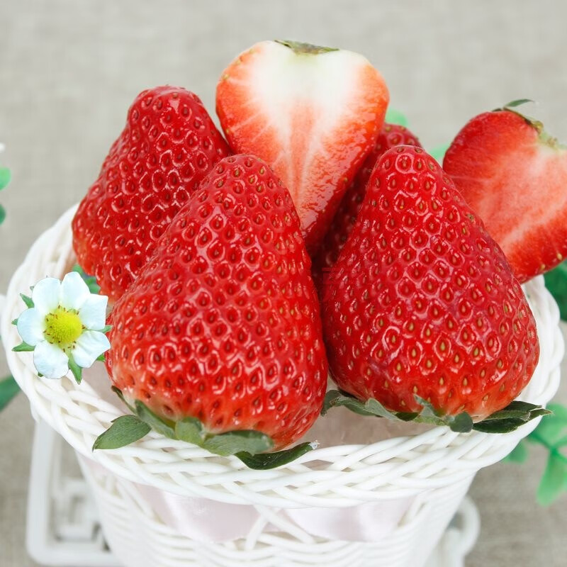 【正常发货】大凉山露天牛奶草莓 冬草莓鲜美多汁甜草莓 3斤装 中果