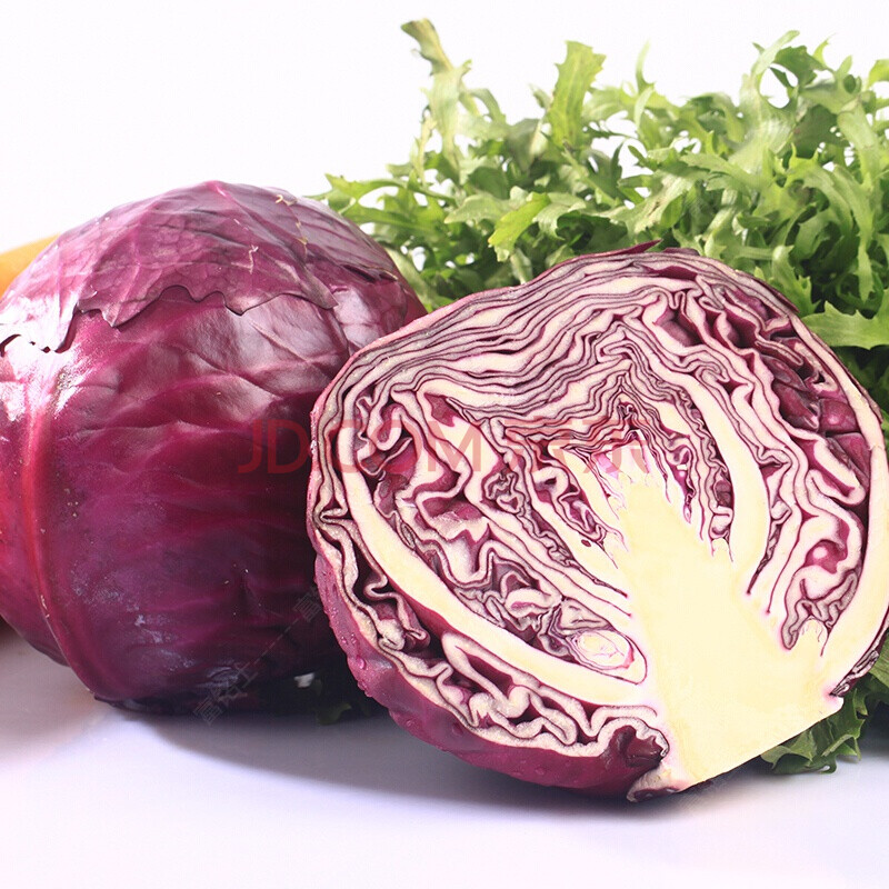 山东新鲜紫甘蓝蔬菜沙拉美食小包菜大头菜卷心菜 生鲜 5斤