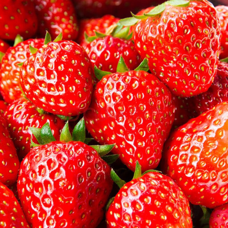 草莓种籽子室外波斯菊薄荷满天星向日葵室内植物花种子孑 奶油草莓200