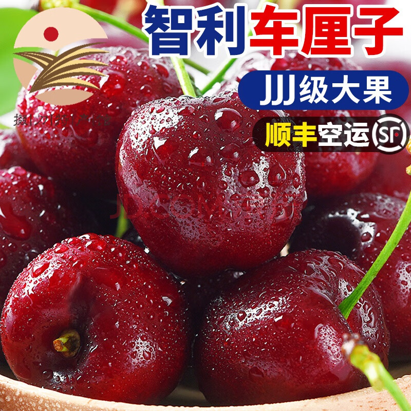 智利进口车厘子桑提娜santina/宾莹bing5斤/10斤 核酸检测合格 j级多