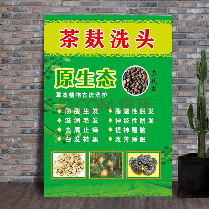 中药姜洗头茶麸养头疗中医养生馆疗挂图姜疗的功效宣传 004-茶麸洗头