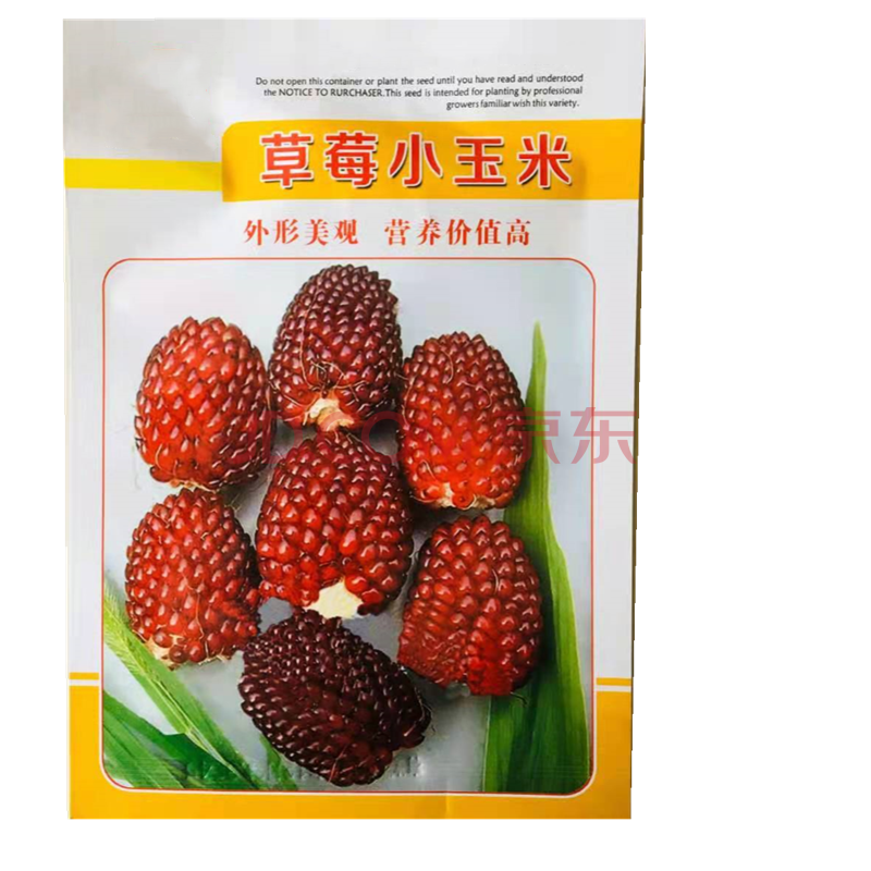 菠萝玉米种子 可生吃玉米种子庭院阳台四季易种蔬菜水果玉米种子 草莓