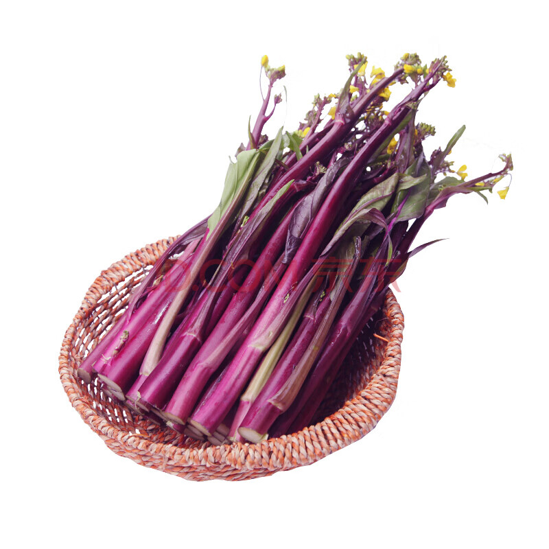 新鲜红菜苔 云菜苔 紫菜苔 湖北武汉洪山蔬菜红菜薹紫菜苔农家自种