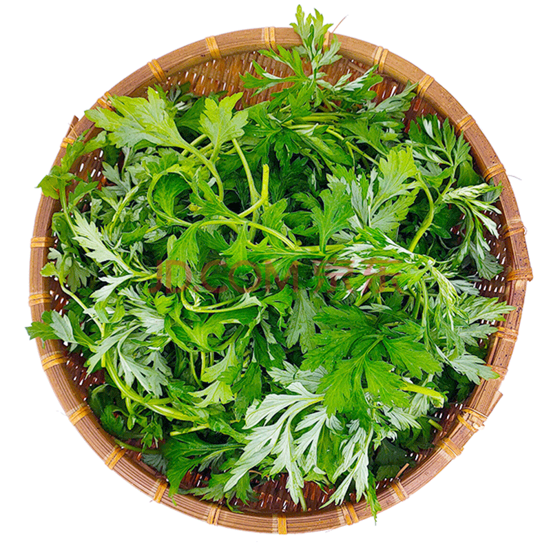 新鲜艾草食用 现摘清明草粑粑青团 艾叶新鲜艾叶草 2斤