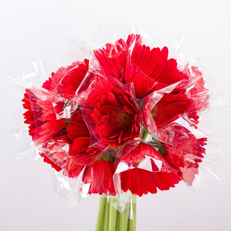 昆明基地批发弗朗花扶郎花太阳花办公室家庭客厅插花 红色非洲菊20支