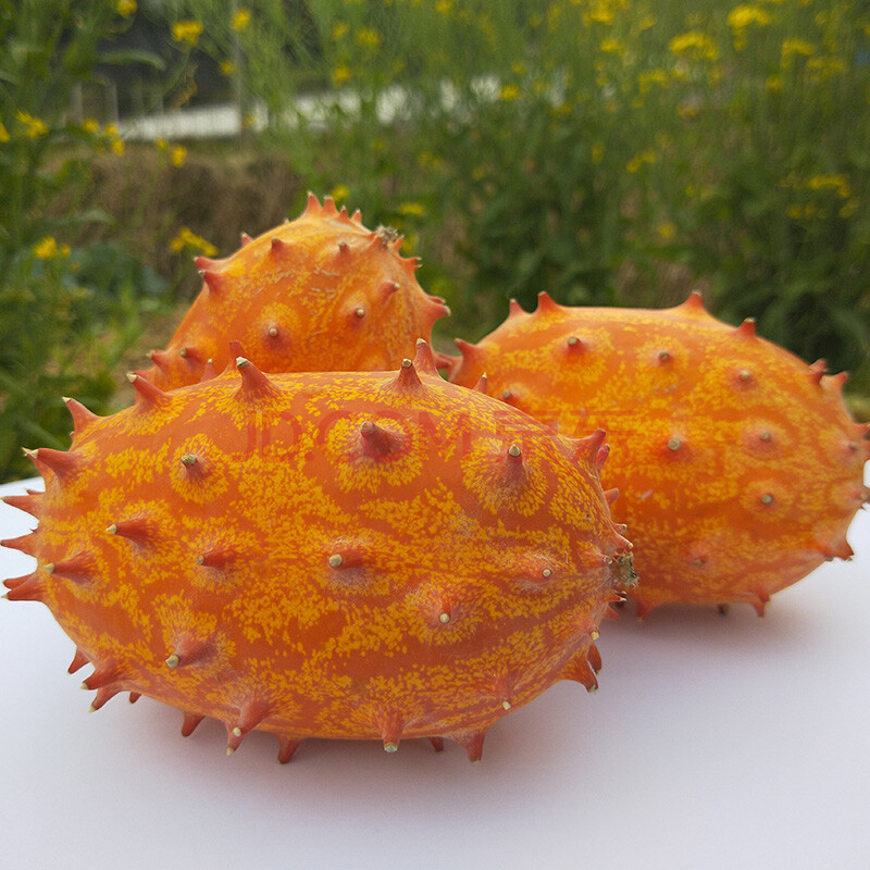 火参果新鲜火生果火星果刺角瓜低糖水果 2个装